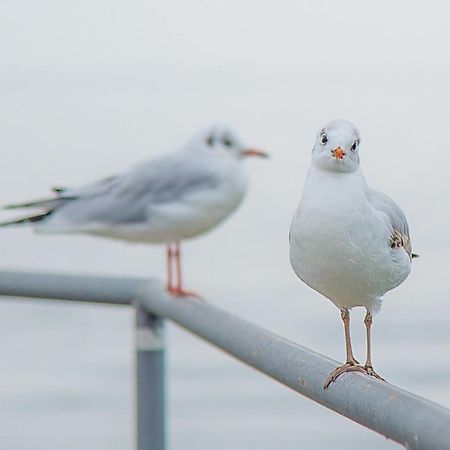 Meerzeit - Maritime Fewo In Timmendorfer Strand Esterno foto