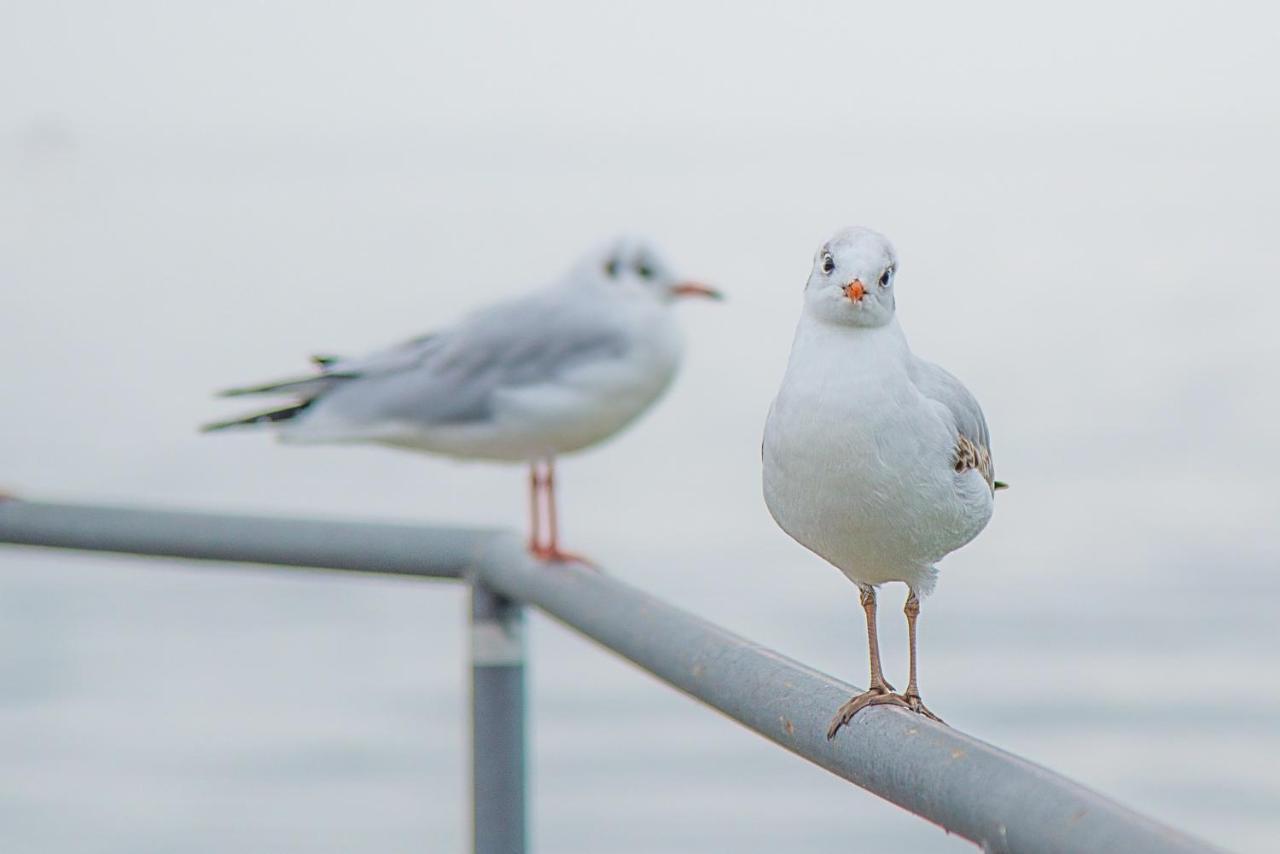 Meerzeit - Maritime Fewo In Timmendorfer Strand Esterno foto